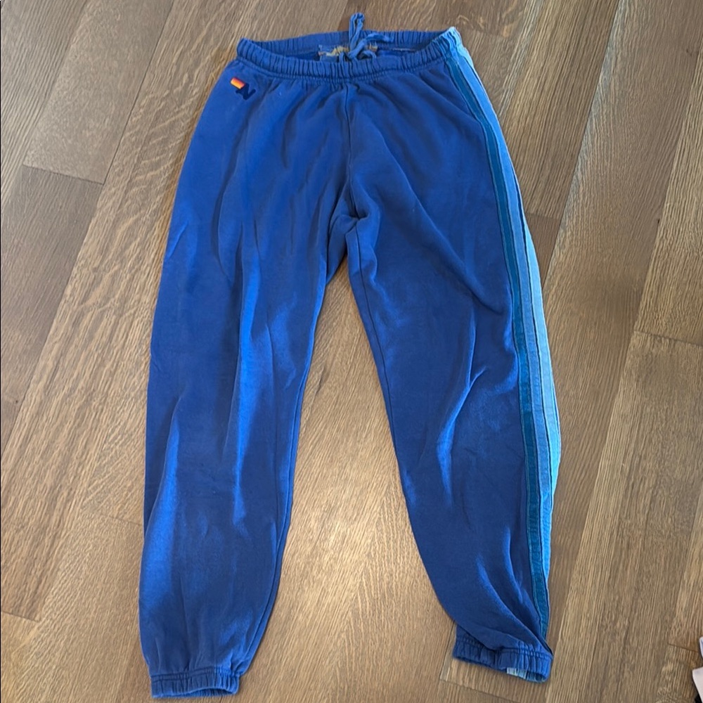 Aviator Nation Blue Track Pants with Stripe